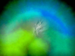 Aura photos
