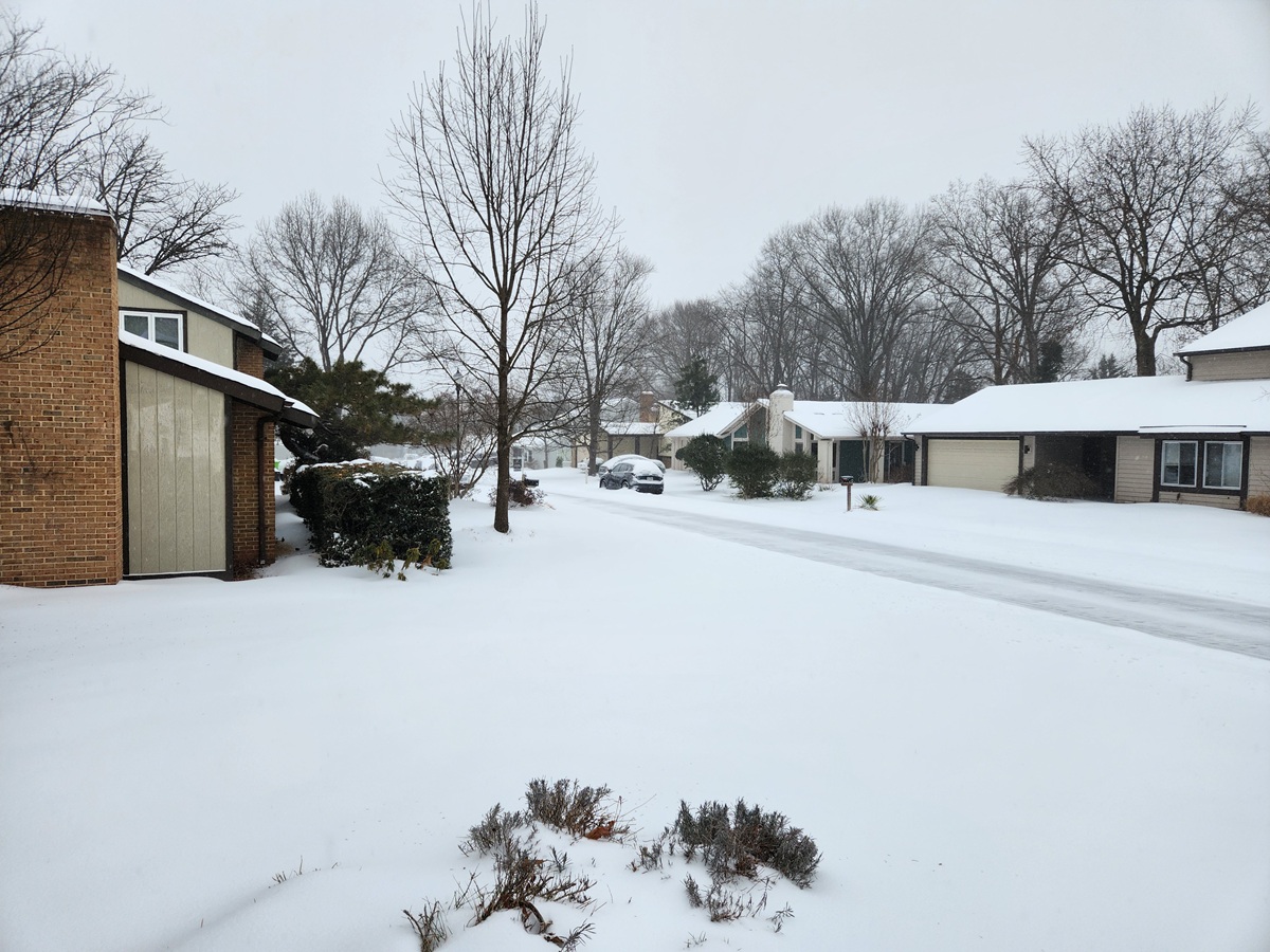 Gov. Abigail Spanberger Leadership Chakra Databanks. Let's learn about Virginia's new governor. Reporting to you readers on an unusually snowy day.
