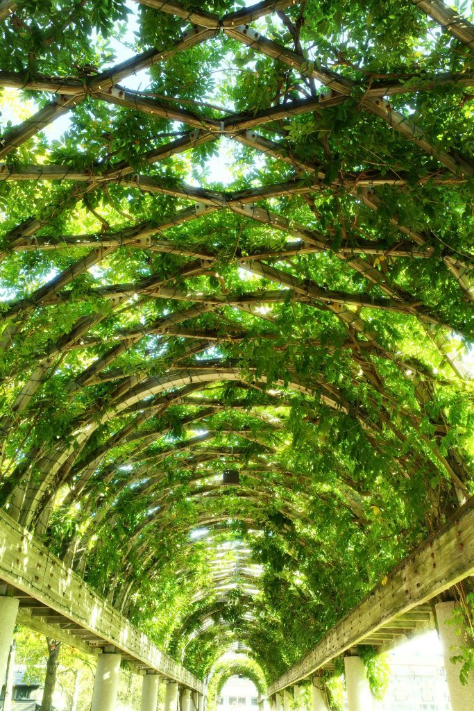 A cathedral is a sacred place. Religions build them. Unofficially, too, you may have chosen a beautiful place in nature which you feel is your kind of cathedral.